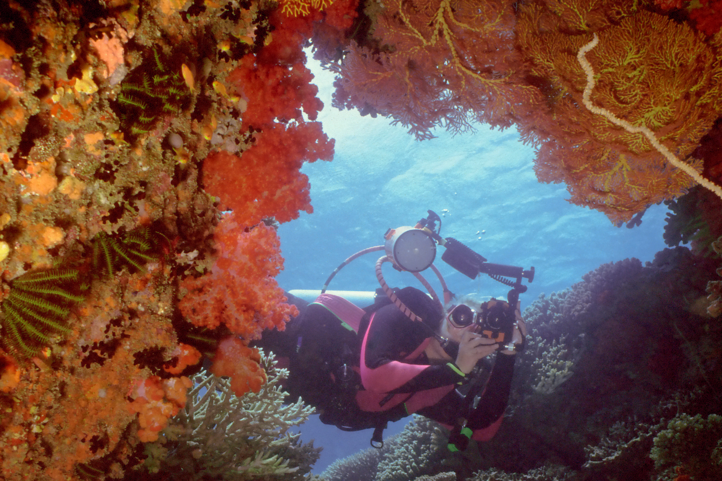 195 beqa island.webp